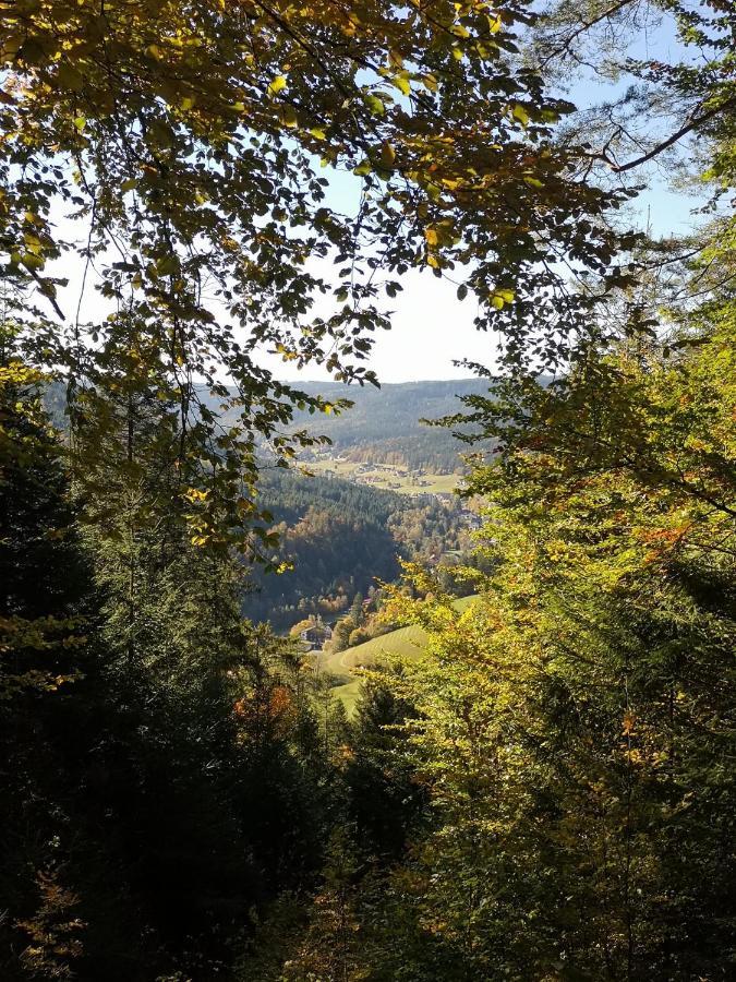 Altes Berghaus Obertal (Karlsruhe) Exterior foto