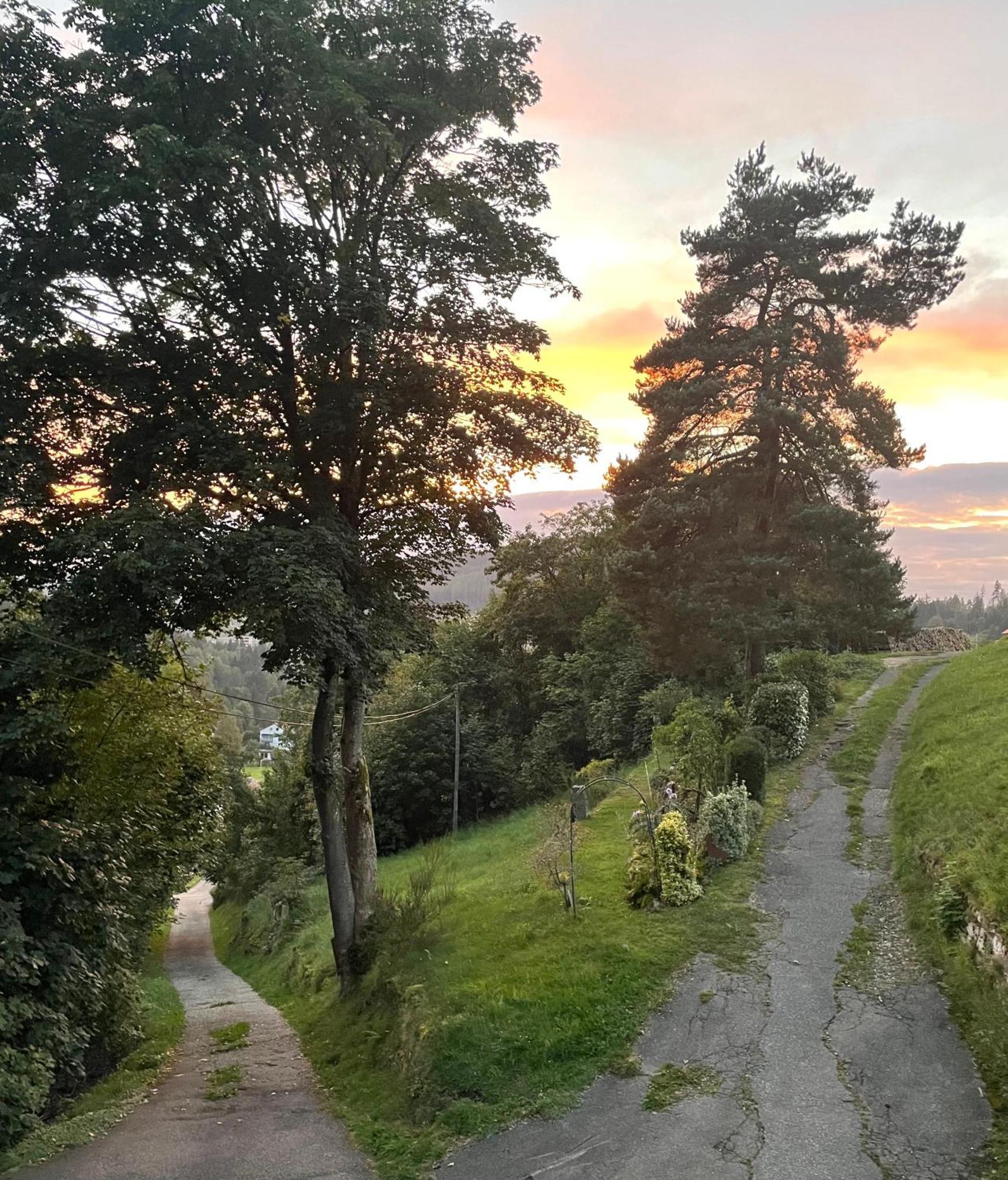 Altes Berghaus Obertal (Karlsruhe) Exterior foto